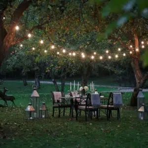Landscape Lighting Marysville