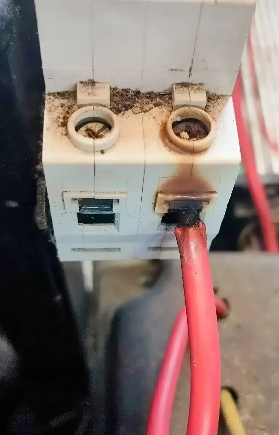 Electrician in Issaquah