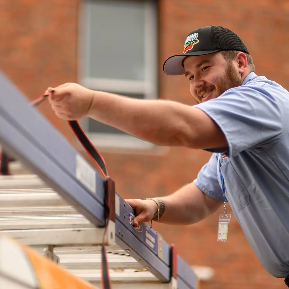 Lighting Specialists in Everett
