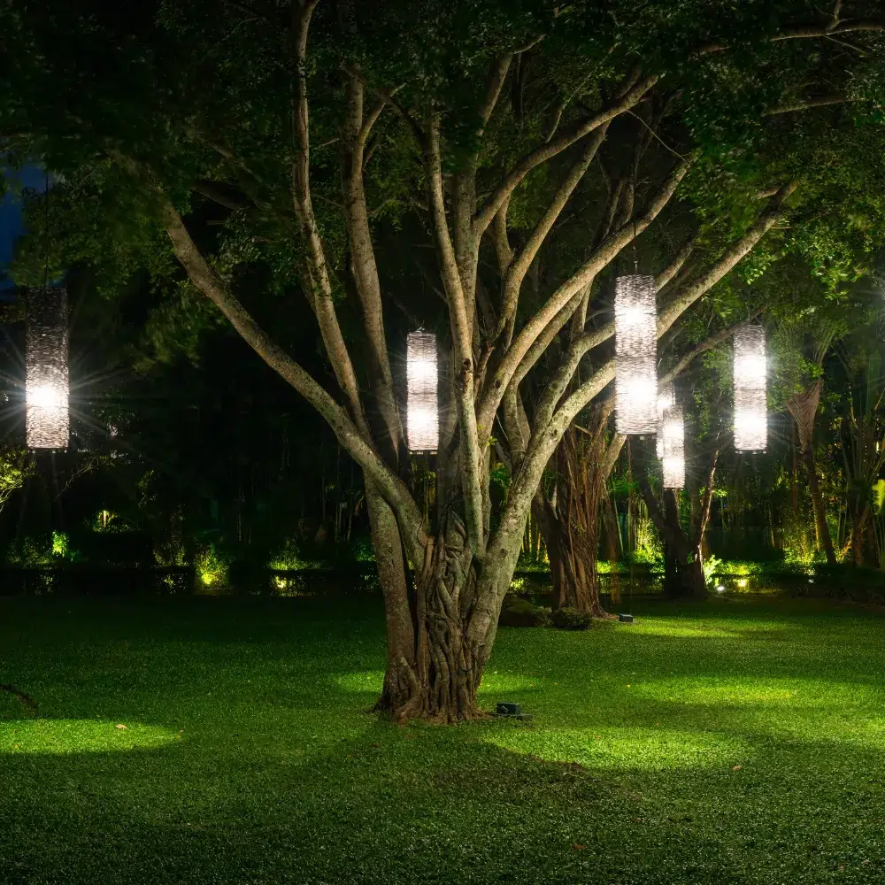 Everett outdoor lighting upgrade