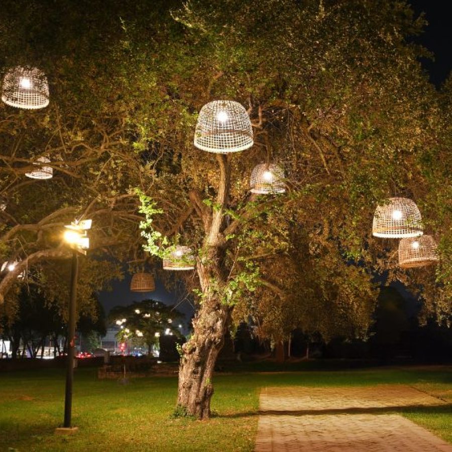 Outdoor Lighting for Everett